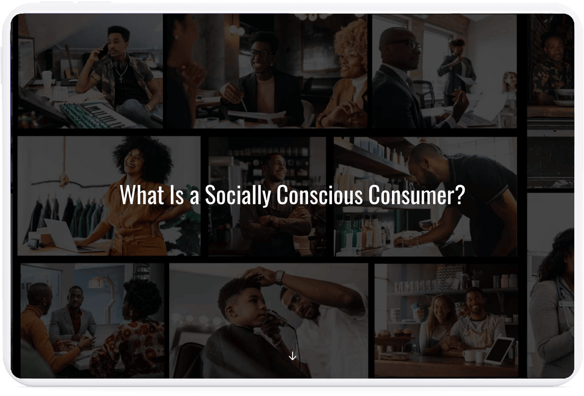The Socially Conscious Consumer course start screen